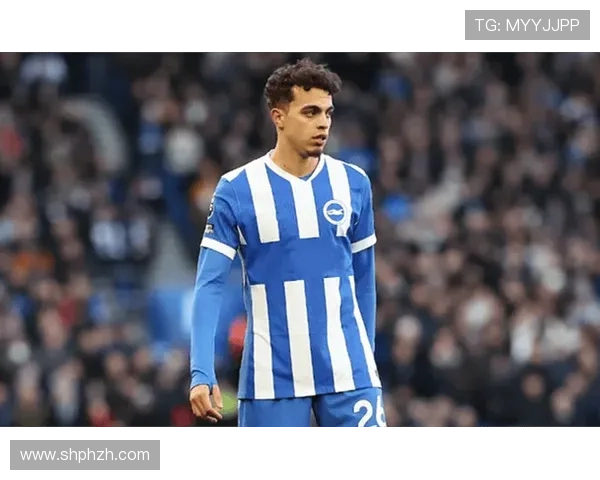 布莱顿关键球员状态回暖，持续引领球队战斗精神迎接赛季新挑战