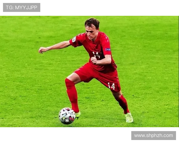 达姆斯高国家队表现